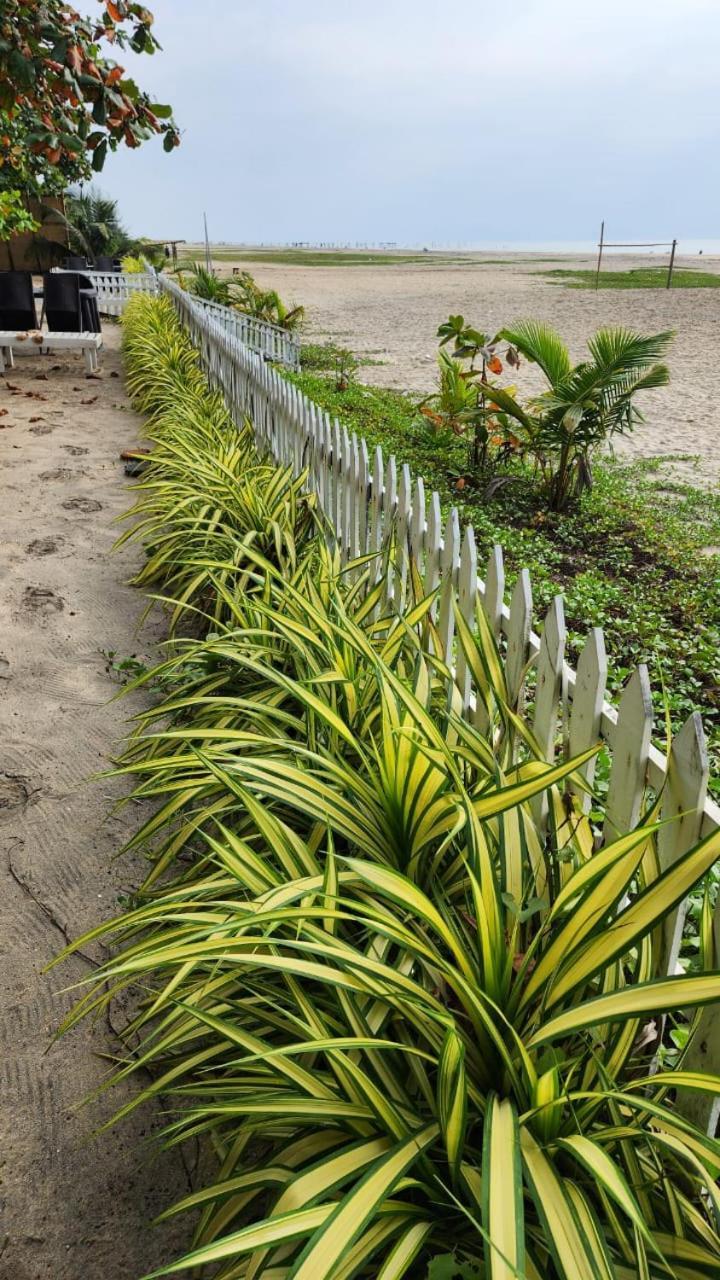 Palm Beach Resort, Alleppey Alappuzha Eksteriør billede